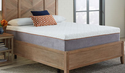 Sleep Science 14 inch Firm product